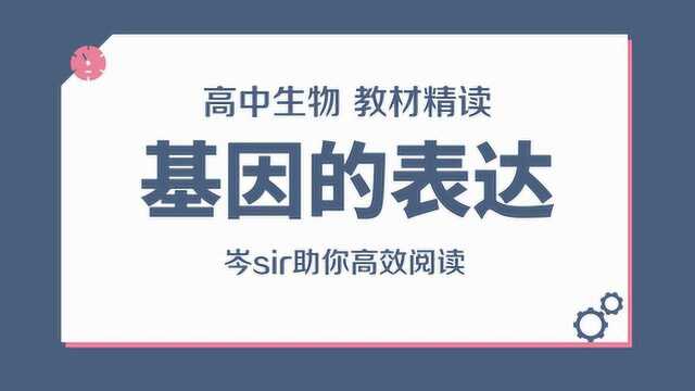 高中生物 教材精读1 必修2 基因的表达