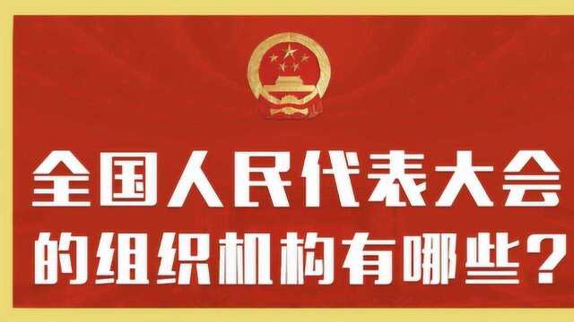 AI主播带你了解什么是全国两会|全国人民代表大会的组织机构有哪些?