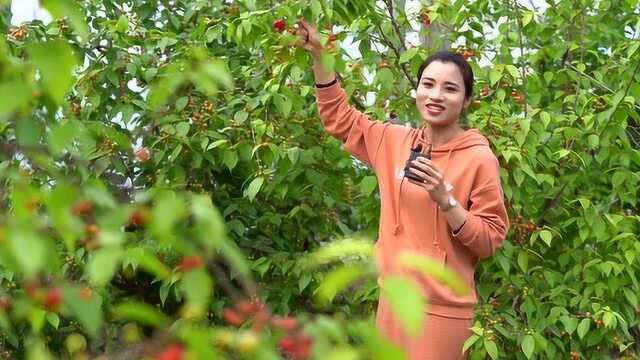 五月 迎来瓜果飘香的季节