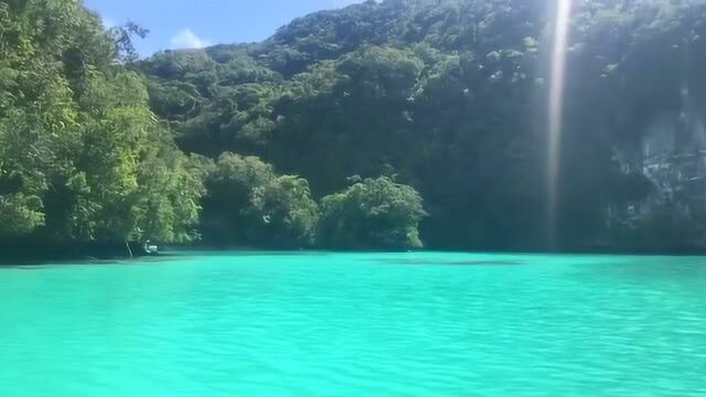 看过太多的海,但是来到帕劳牛奶湖中,海水独有的蓝色无疑是印象最深之一!