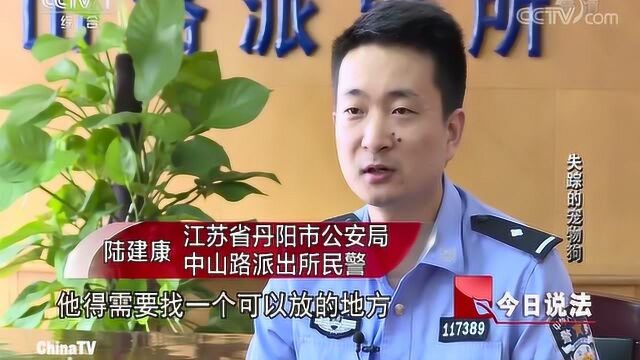 堆成山的毒狗尸体,罪犯销售带毒狗肉8万斤,非法获利44万元!