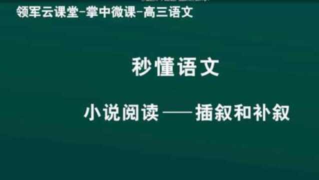 领军教育 高三语文 秒懂语文 小说阅读 插叙和补叙