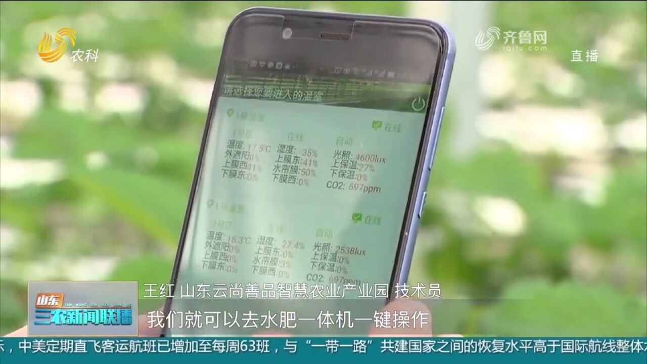 西岗镇推动数字化农业模式成型发展,为乡村振兴插上腾飞的＂翅膀＂