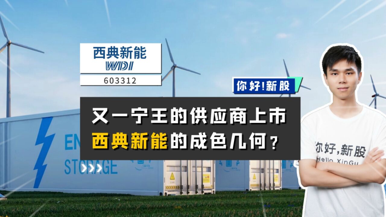 西典新能:又一宁王的供应商上市,它的成色几何?