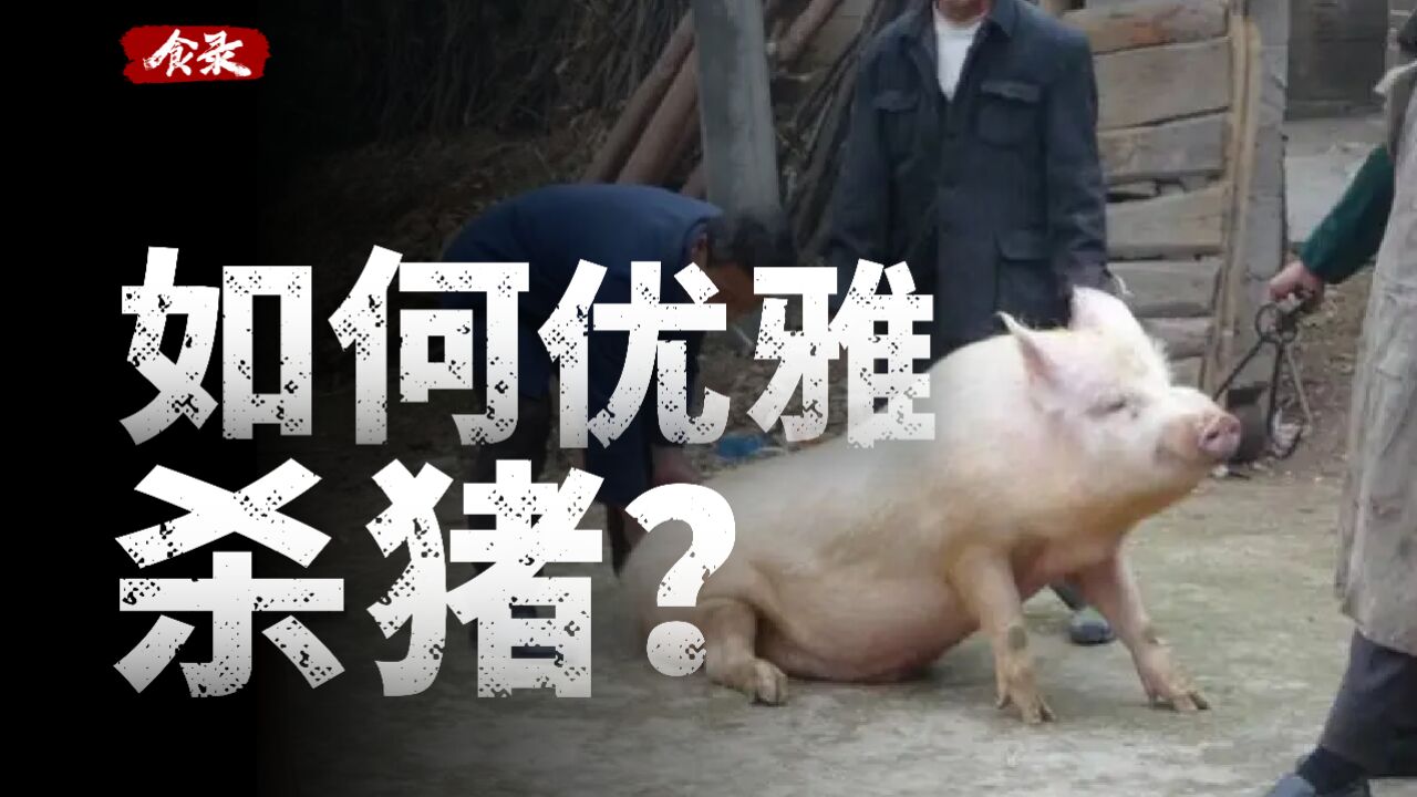 如何安全且优雅地杀死一头猪?体验沉浸式杀猪