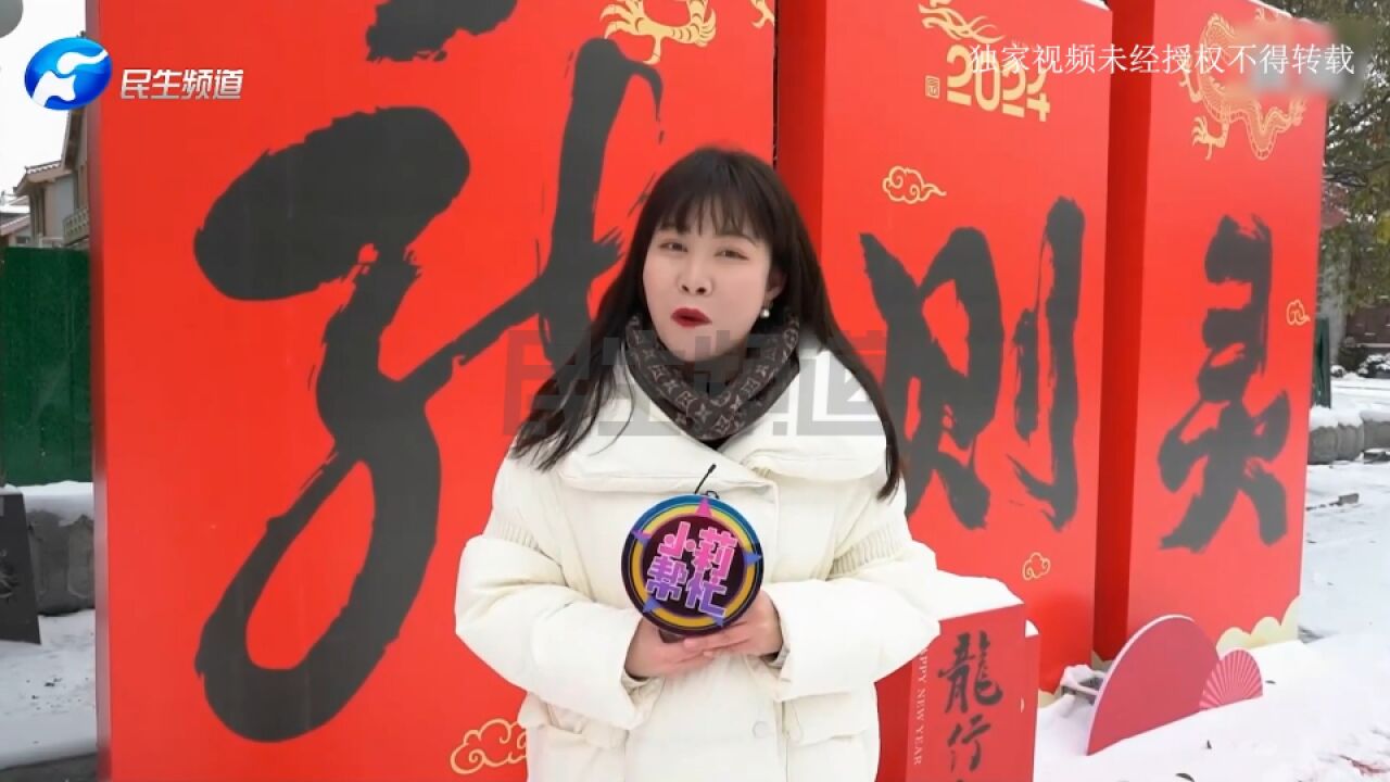 寻龙记之龙翔华夏:在甲辰龙年到来之际,让我们跟着小莉开启“寻龙”之旅吧