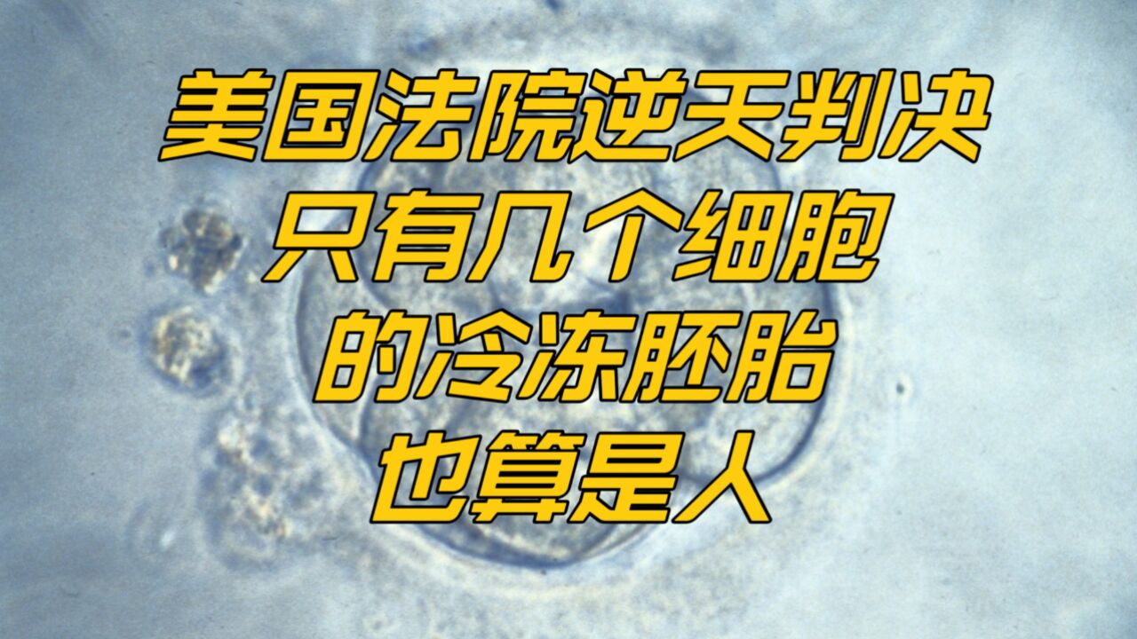 深红州阿拉巴马最高法院见缝插针反堕胎:冷冻胚胎到底算不算“人”?