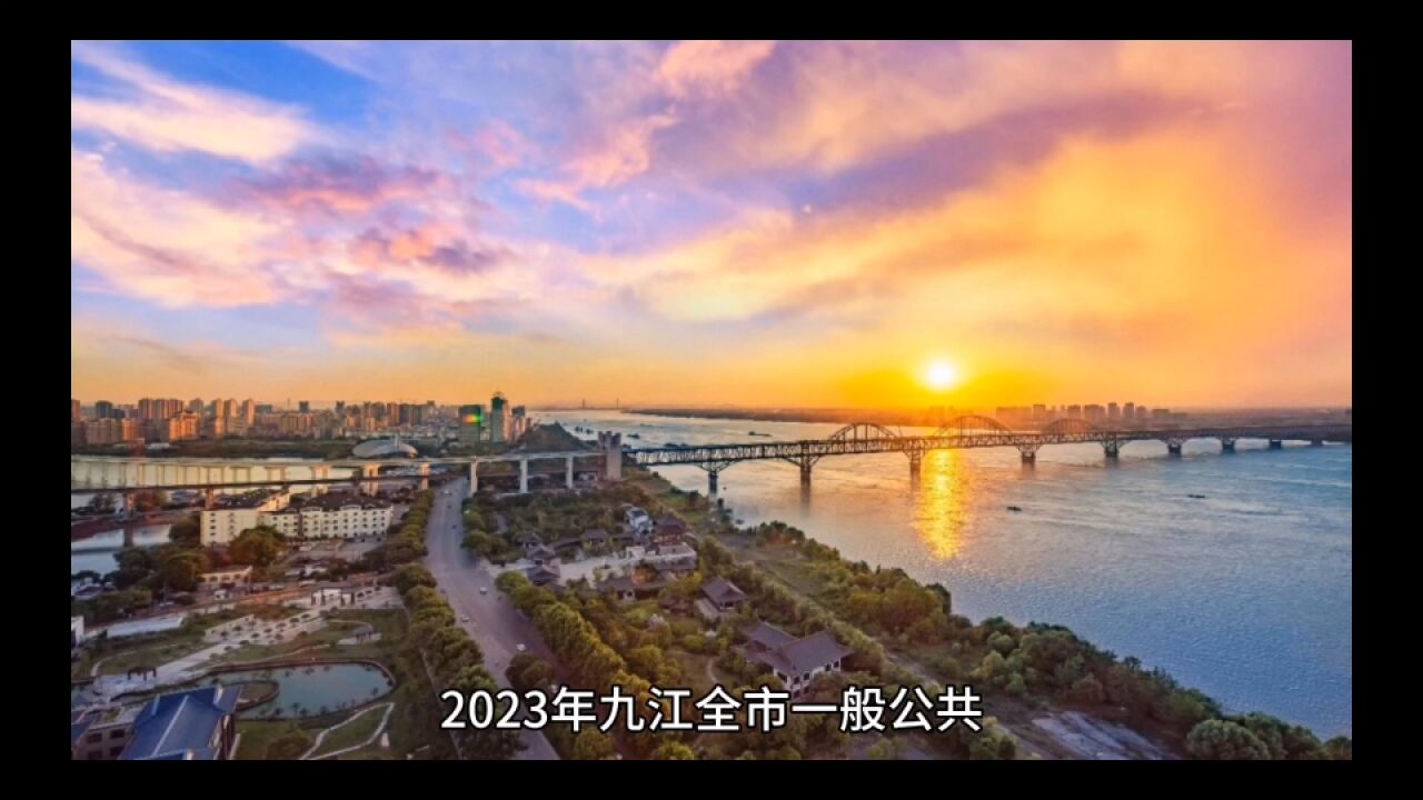 2024年山东各地财政预算数,青岛和济南保持千亿,济宁突破500亿