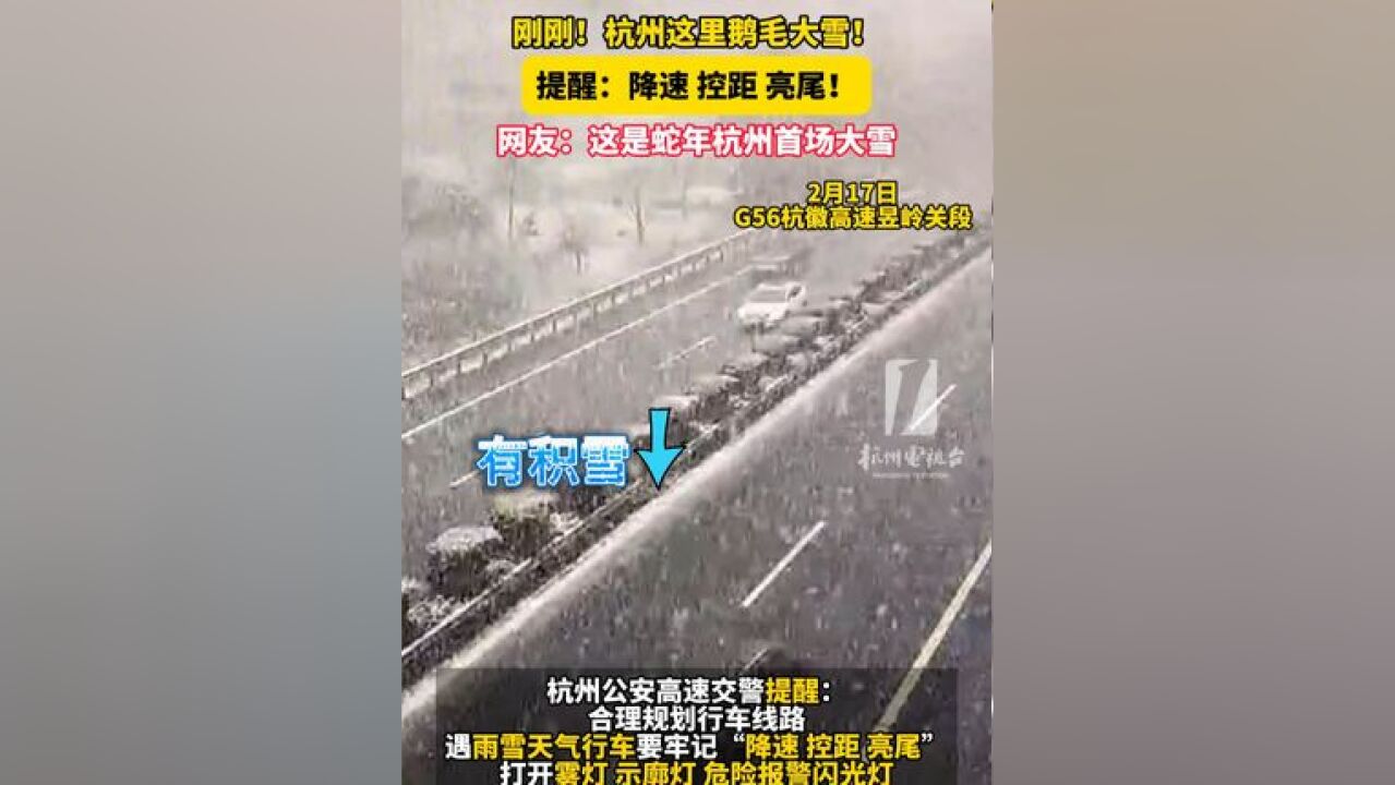 刚刚!这里鹅毛大雪!提醒:降速 控距 亮尾!网友:这是蛇年杭州首场大雪