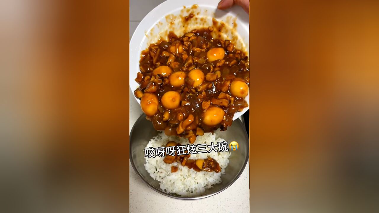 替你们试过了用鸡胸肉来做卤肉饭也是绝了