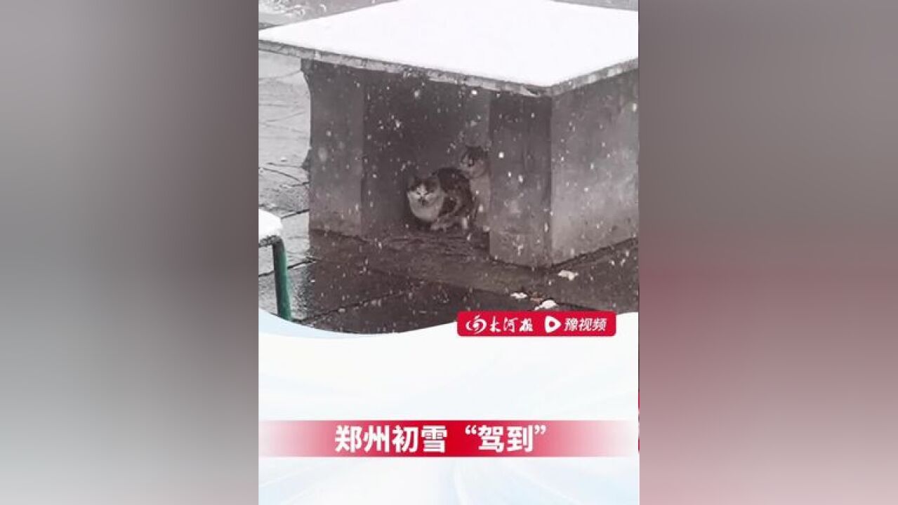 郑州初雪“驾到”