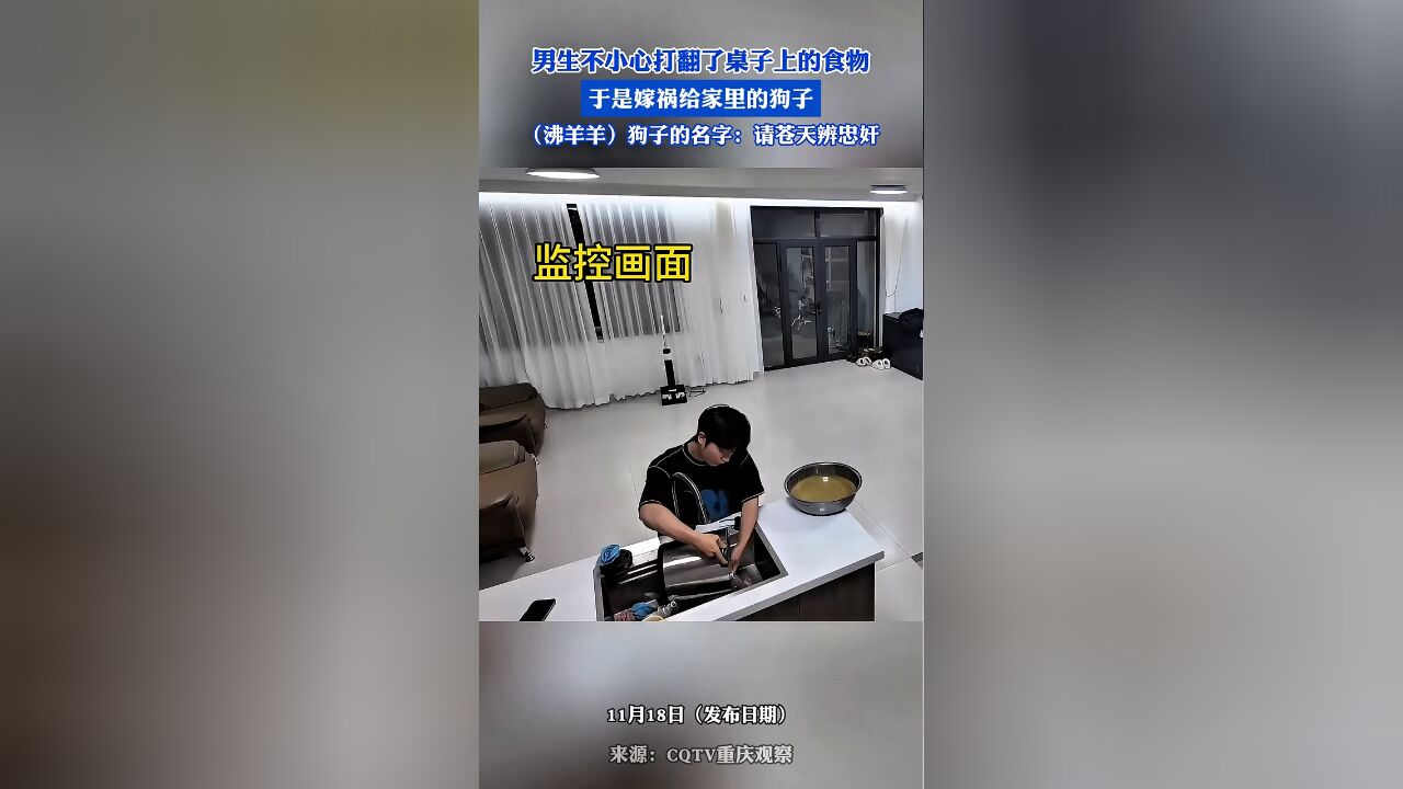 男生不小心打翻了桌子上的食物,于是嫁祸给家里的狗子