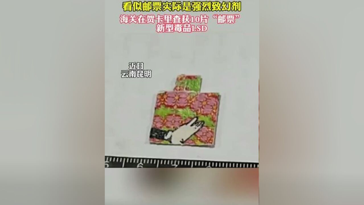 昆明海关在贺卡里查获10片邮票毒品