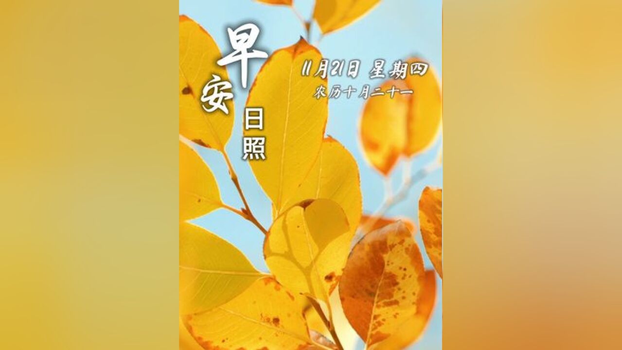 今天是11月21日,星期四,早安,没有一蹴而就的成功,只有日复一日的努力与坚持!每天前进一点点,终会到达梦想的彼岸!