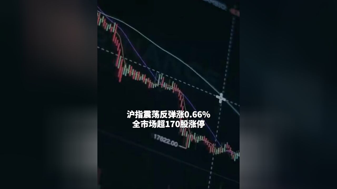 沪指震荡反弹涨0.66%, 全市场超170股涨停 #A股