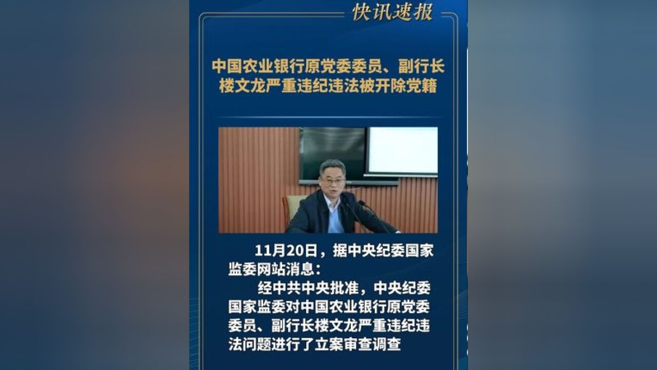 中国农业银行原党委委员、副行长楼文龙严重违纪违法被开除党籍