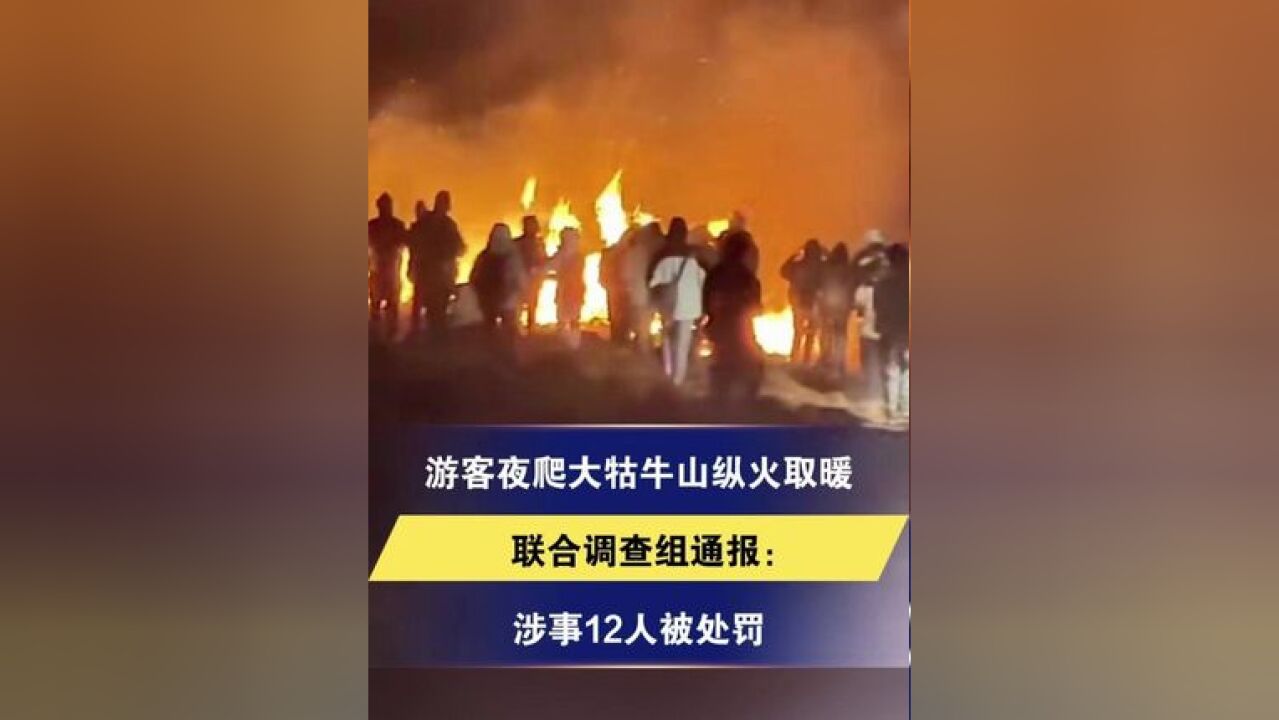 游客夜爬大牯牛山纵火取暖 联合调查组通报:涉事12人被处罚