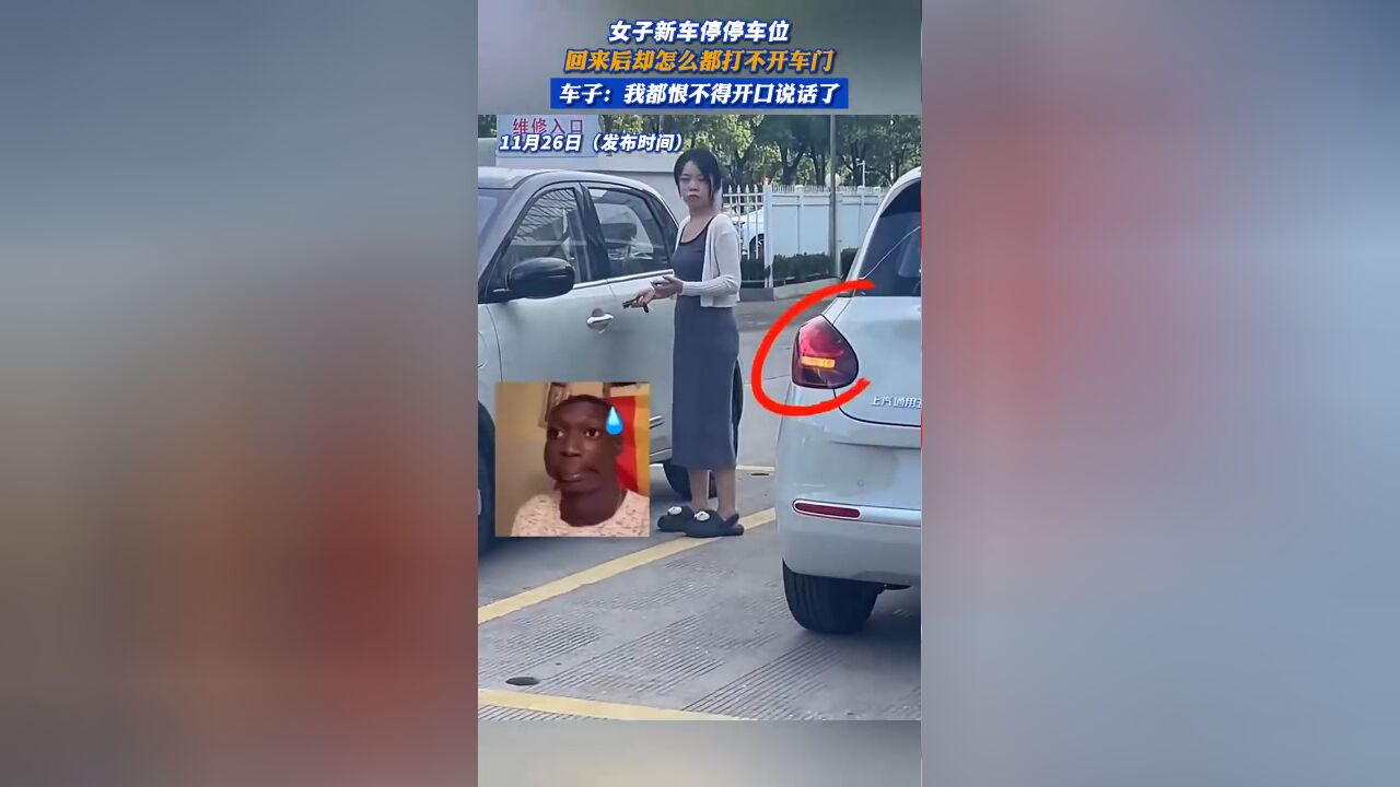 女子新车停停车位,回来后却怎么都打不开车门 车子:我都恨不得开口说话