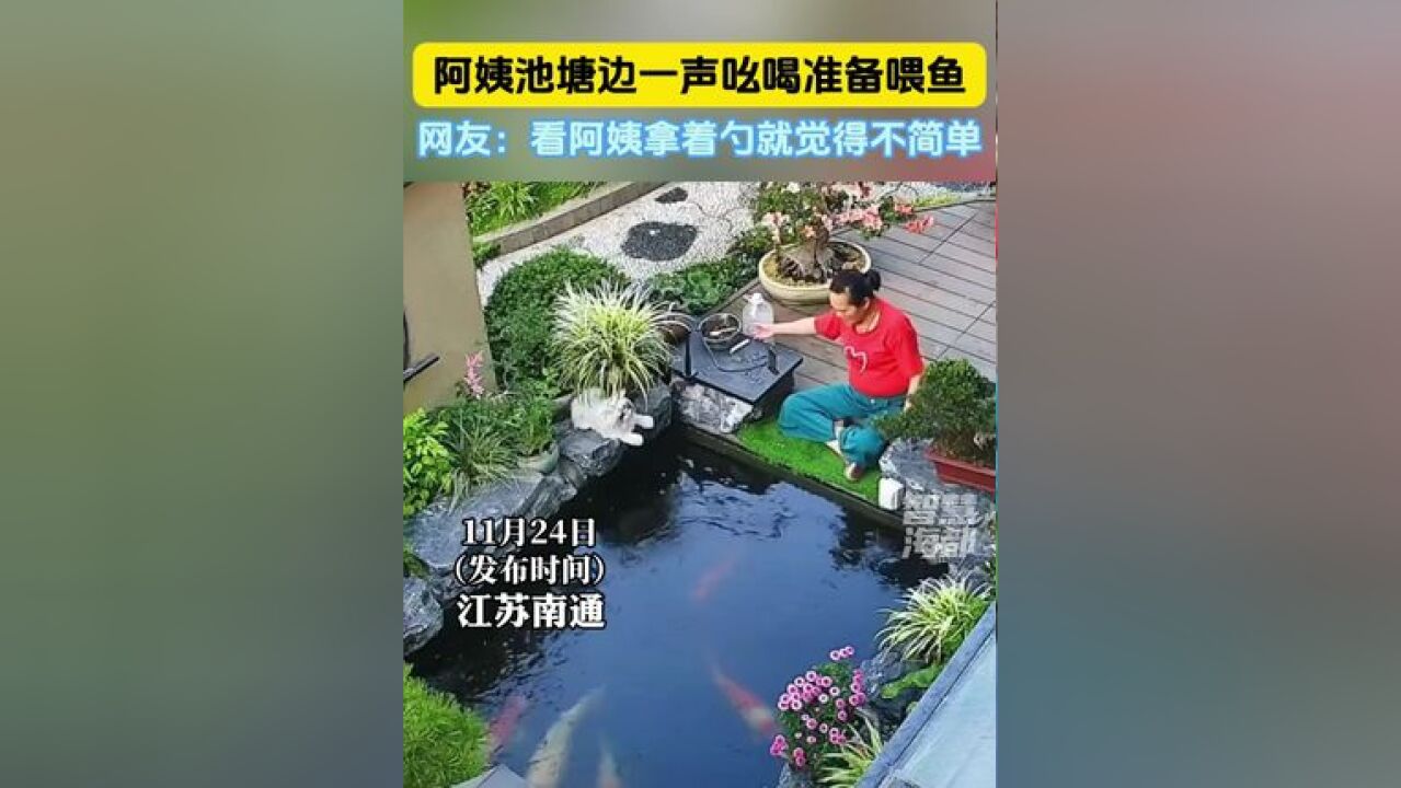 阿姨池塘边一声吆喝准备喂鱼,网友:看阿姨拿着勺就觉得不简单