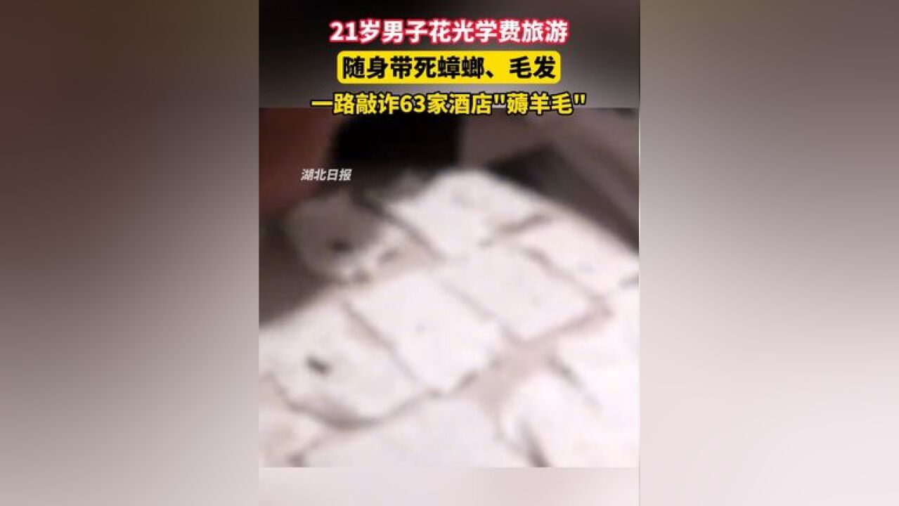 21岁男子随身带死蟑螂、毛发,一路敲诈63家酒店薅羊毛