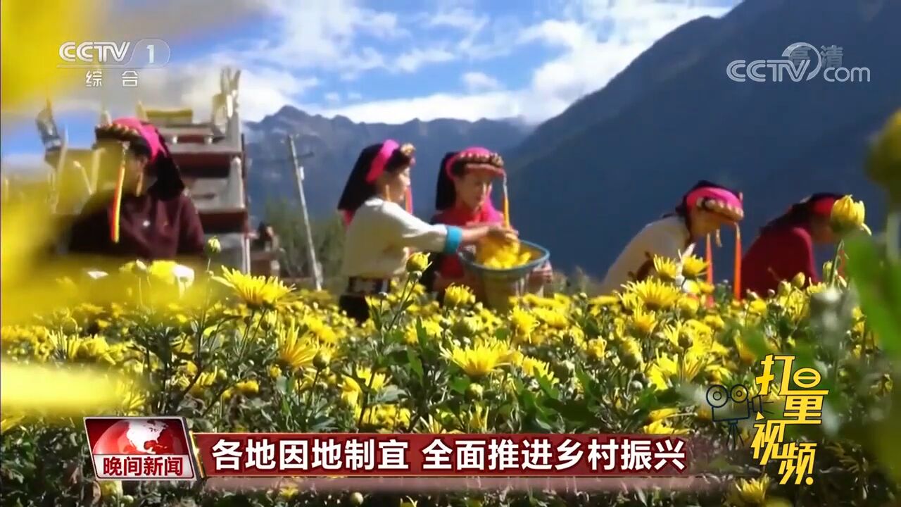 山乡巨变!乡村产业正在中国大地蓬勃发展