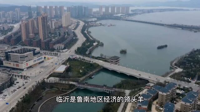 2022年17月临沂各地财政收入,沂水沂南增速优异,平邑增速最高