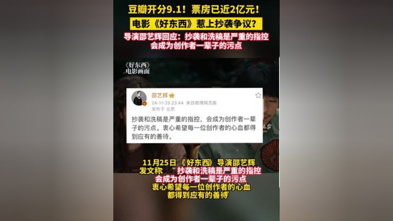 豆瓣开分9.1!电影《好东西》惹上抄袭争议?