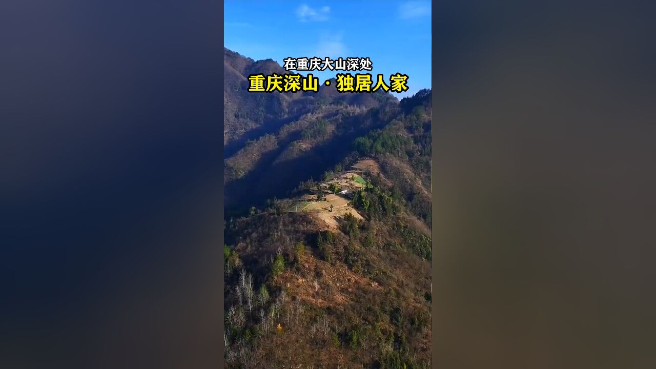 在重庆大山深处发现一户独居人家,房子建在一座山脊之上,一家人就在这深山里种地放牧