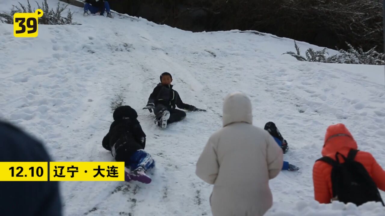 大连中到大雪 整个城市银装素裹