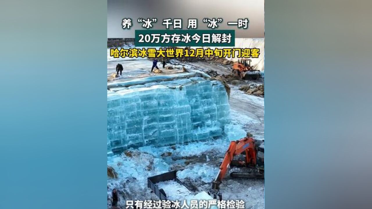 20万方存冰今日解封用于哈尔滨冰雪大世界园区建设,预计12月中旬开门迎客