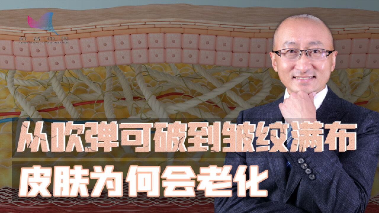 长大成年后,我们为什么会失去吹弹可破的皮肤?