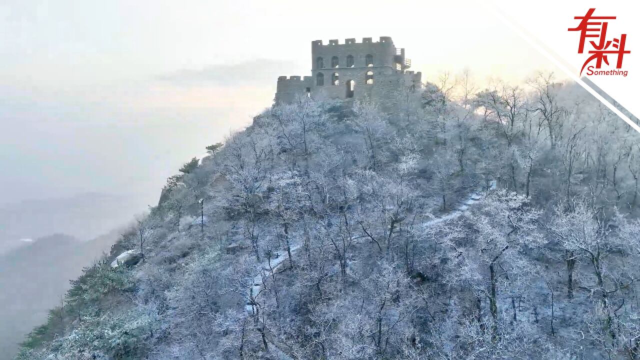 日照大青山风景区再现雾凇景观:漫山的冰凌犹如梦境