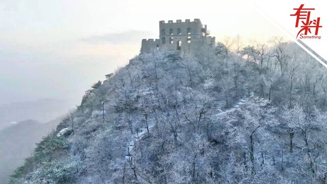 日照大青山风景区再现雾凇景观:漫山的冰凌犹如梦境