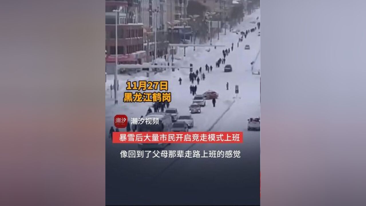 黑龙江鹤岗,暴雪后大量市民开启竞走模式上班