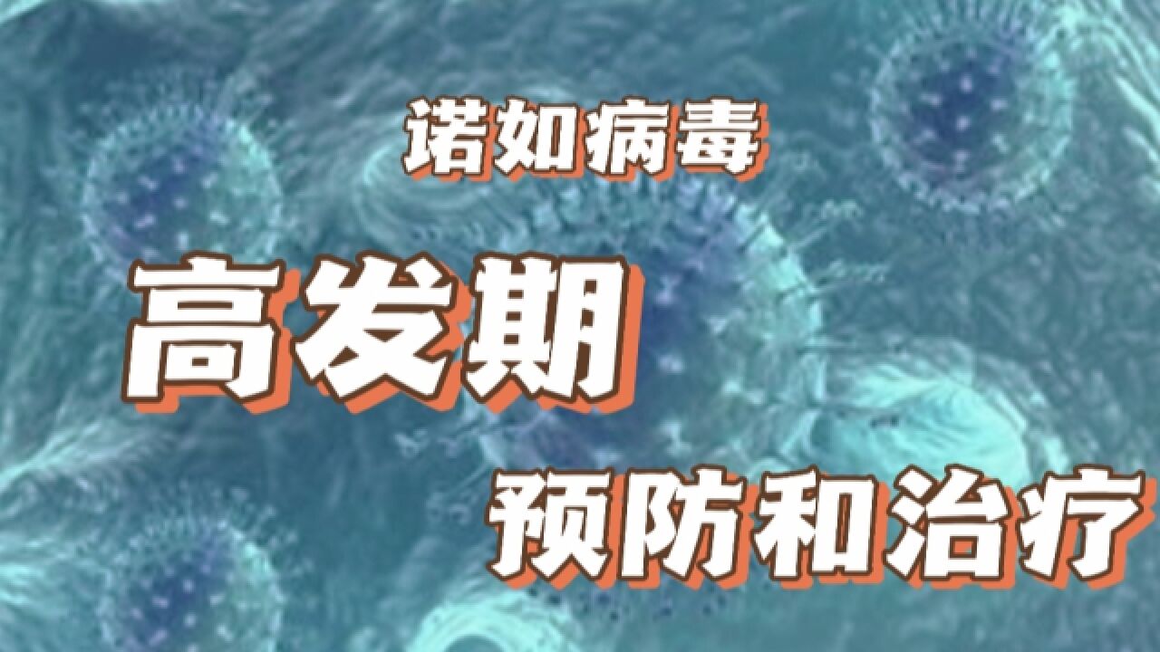 诺如病毒进入高发期,让医生带你了解诺如病毒,如何预防与治疗