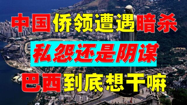 中国华侨,在巴西遭暗杀!国家军警参与,是私人恩怨还是反华主义?