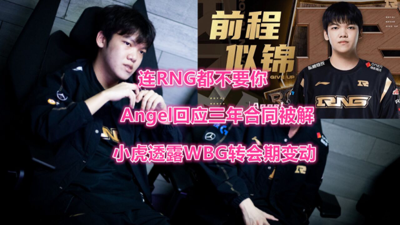 连RNG都不要你!Angel回应三年合同被解除,小虎透露WBG转会变动