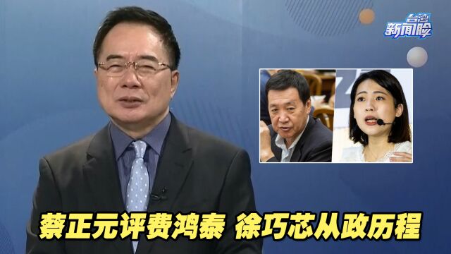 不同世代,不同风格!蔡正元锐评蓝营同仁费鸿泰、徐巧芯从政历程