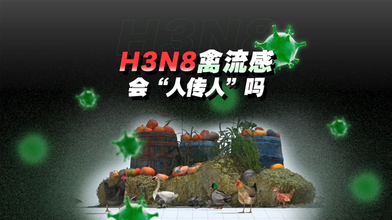 广东又现H3N8禽流感病例:属“溢出型病例”,避免接触禽类可预防