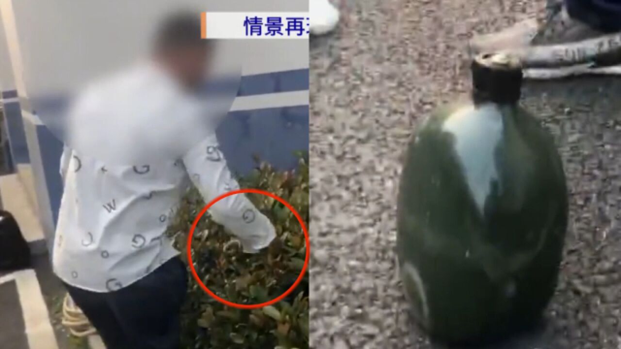 男子被眼镜蛇咬当场喝酒解毒,被举报诈骗后坦白:秘密藏在蛇嘴里