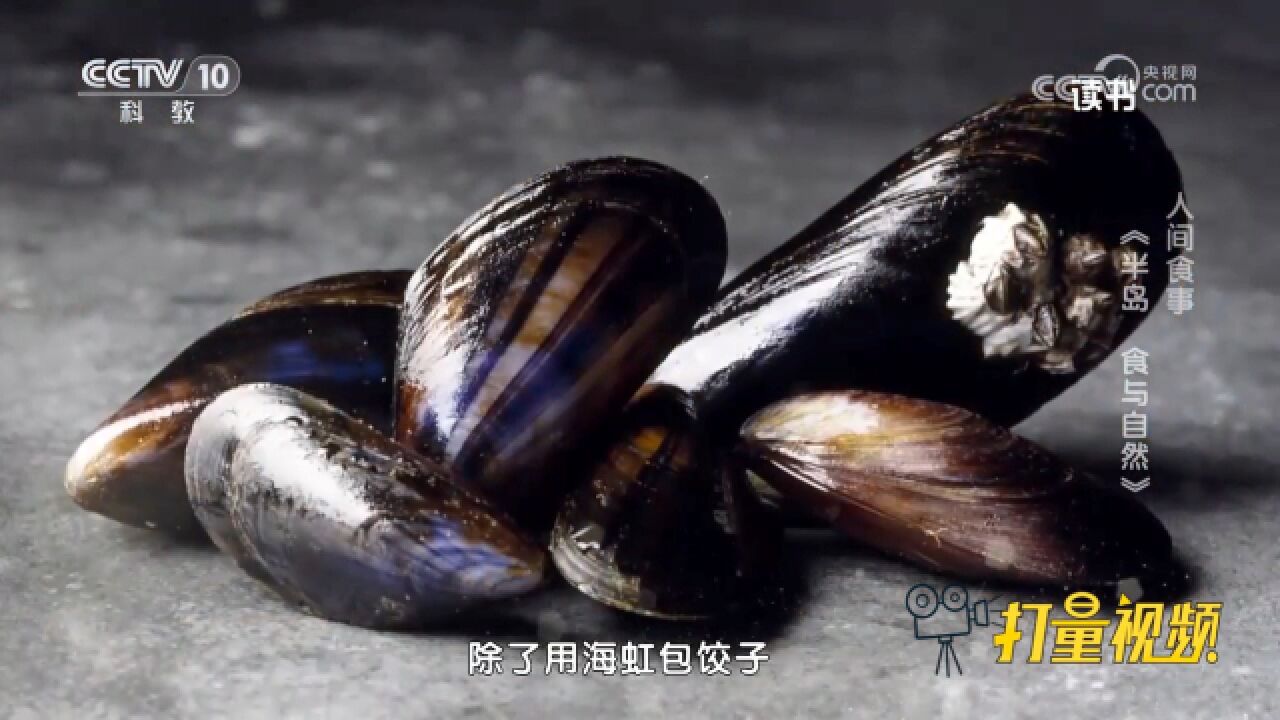 海虹包饺子?《半岛:食与自然》承载胶东人解玉军＂独家饮食记忆＂