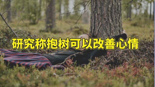 研究称抱树可以改善心情