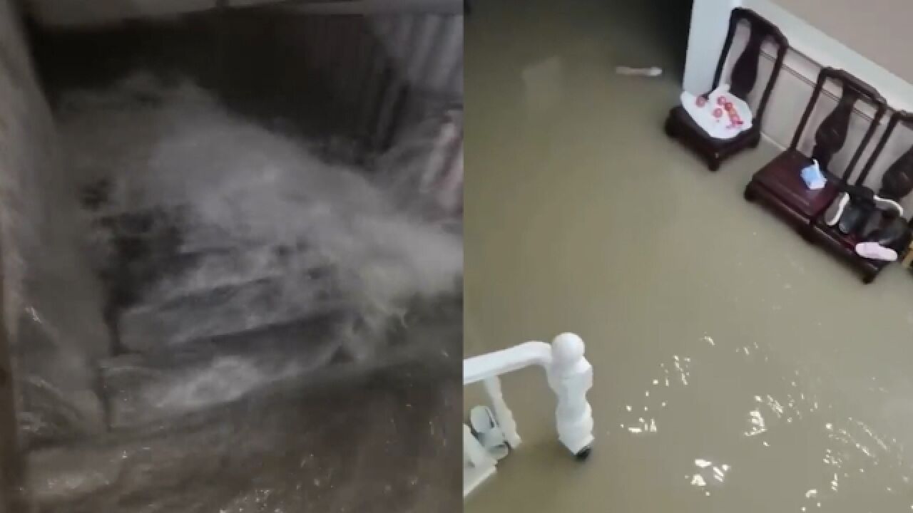 道路成河楼梯变瀑布!浙江嘉善暴雨致严重内涝,1小时降雨141毫米