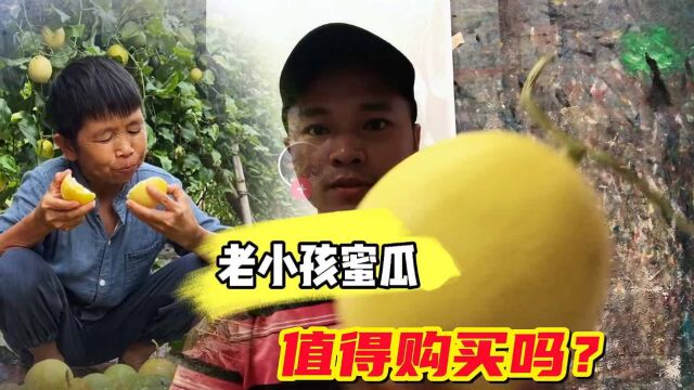 广西老小孩的蜜瓜值得购买吗?网购两个来品尝一下