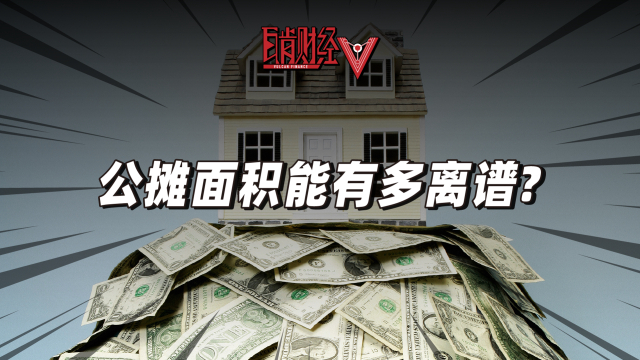 什么是公摊面积的视频 u1472itqzo0_hz.jpg