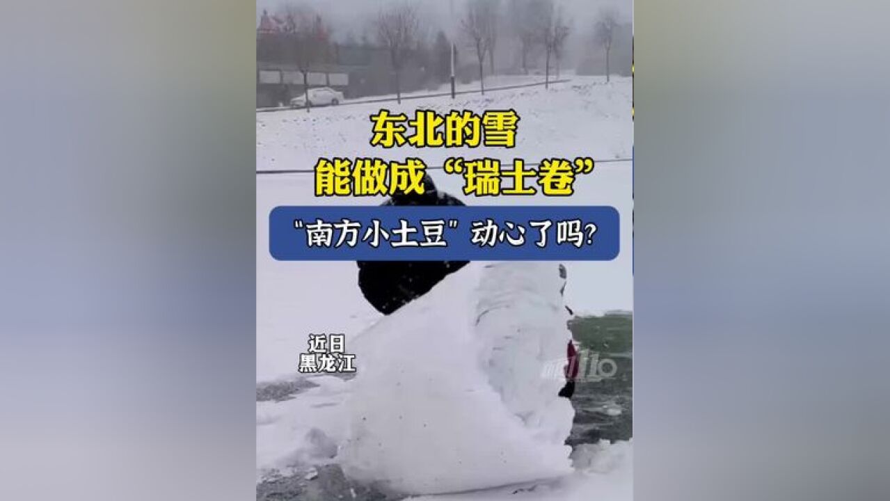 东北的雪,居然能做成“瑞士卷”!“南方小土豆”动心了吗?