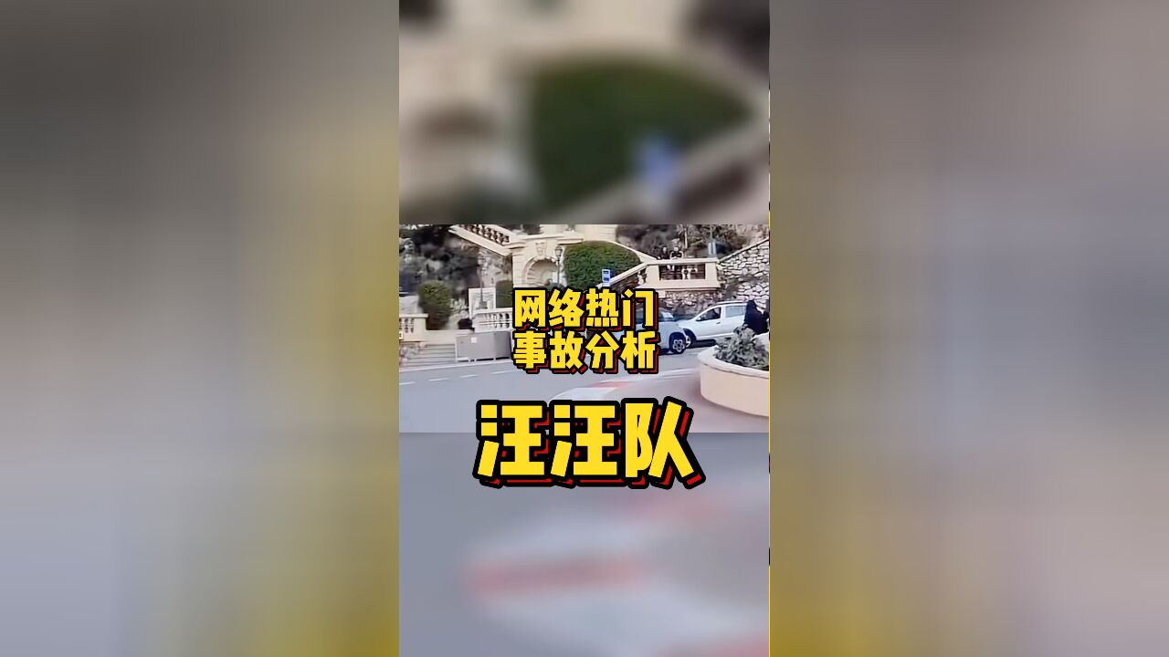 网络热门事故分析—汪汪队