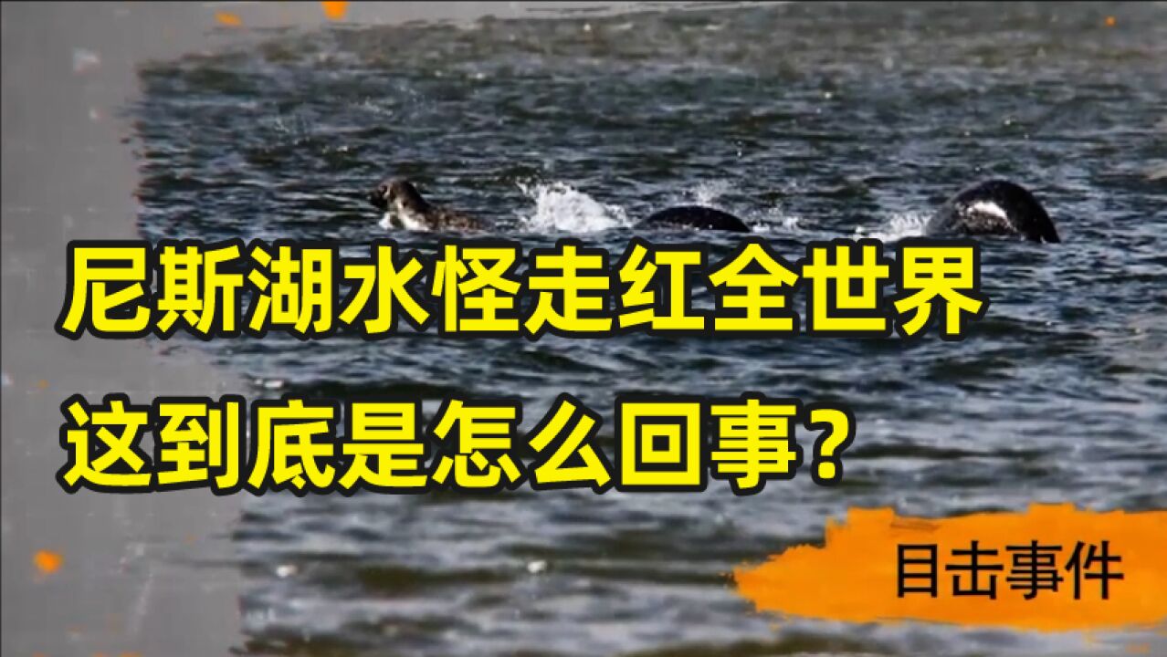 尼斯湖水怪是真的吗?|真假世界未解之谜07