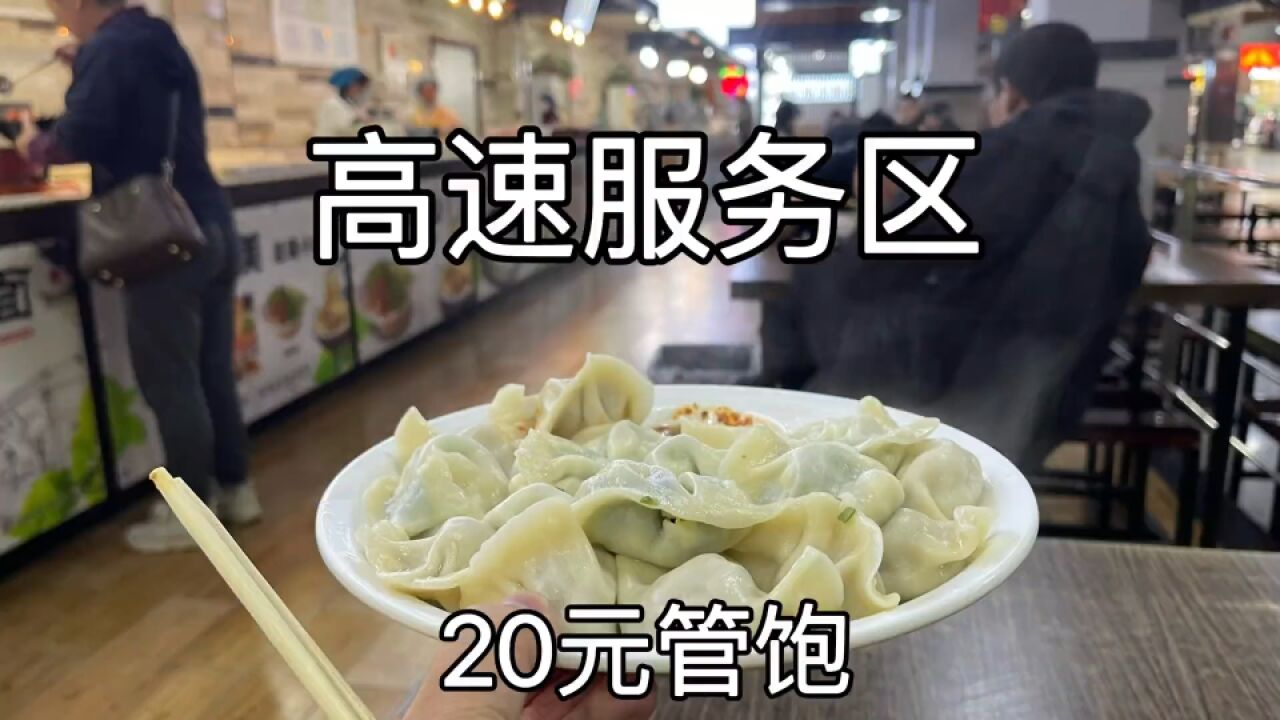 河南安阳高速服务区,水饺自助餐20一位,肉素随便吃,感觉真不错