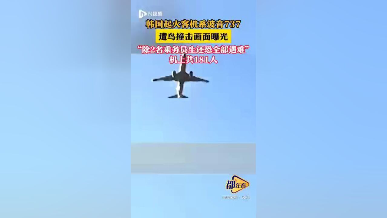 韩国起火客机系波音737,遭鸟撞击画面曝光,“除2名乘务员生还恐全部遇难”